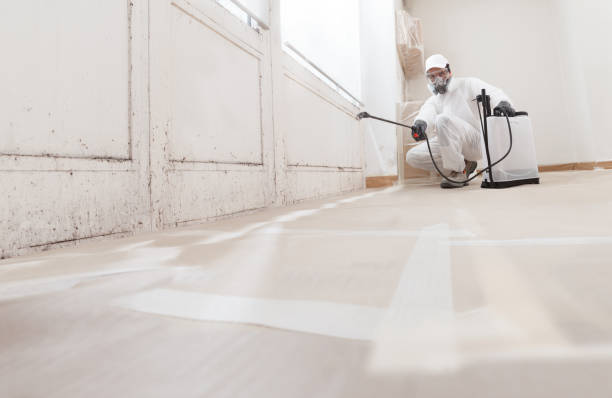 24/7 Emergency Mold Cleanup experts in Cary, IL