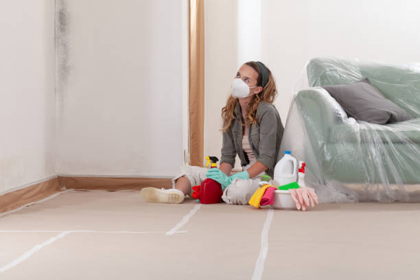 Reliable Mold Cleanup contractor in Cary, IL by WQB Mold Removal